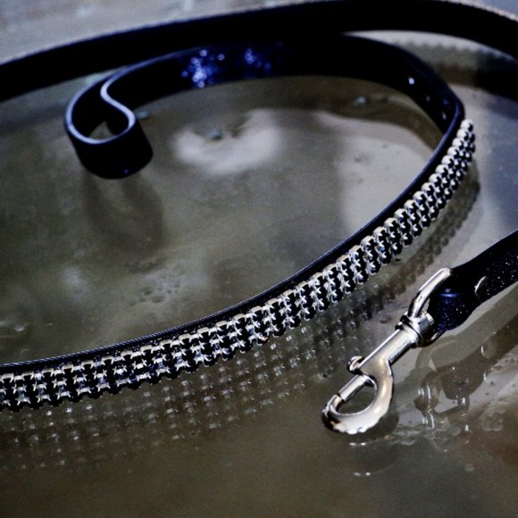 Runway Ready - Glammed Out Pet Leash